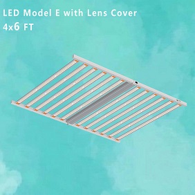 4X6FT LED MODEL E 1250W PRO