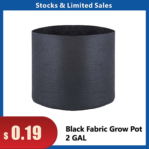 2Gal - Black Fabric Grow Pot